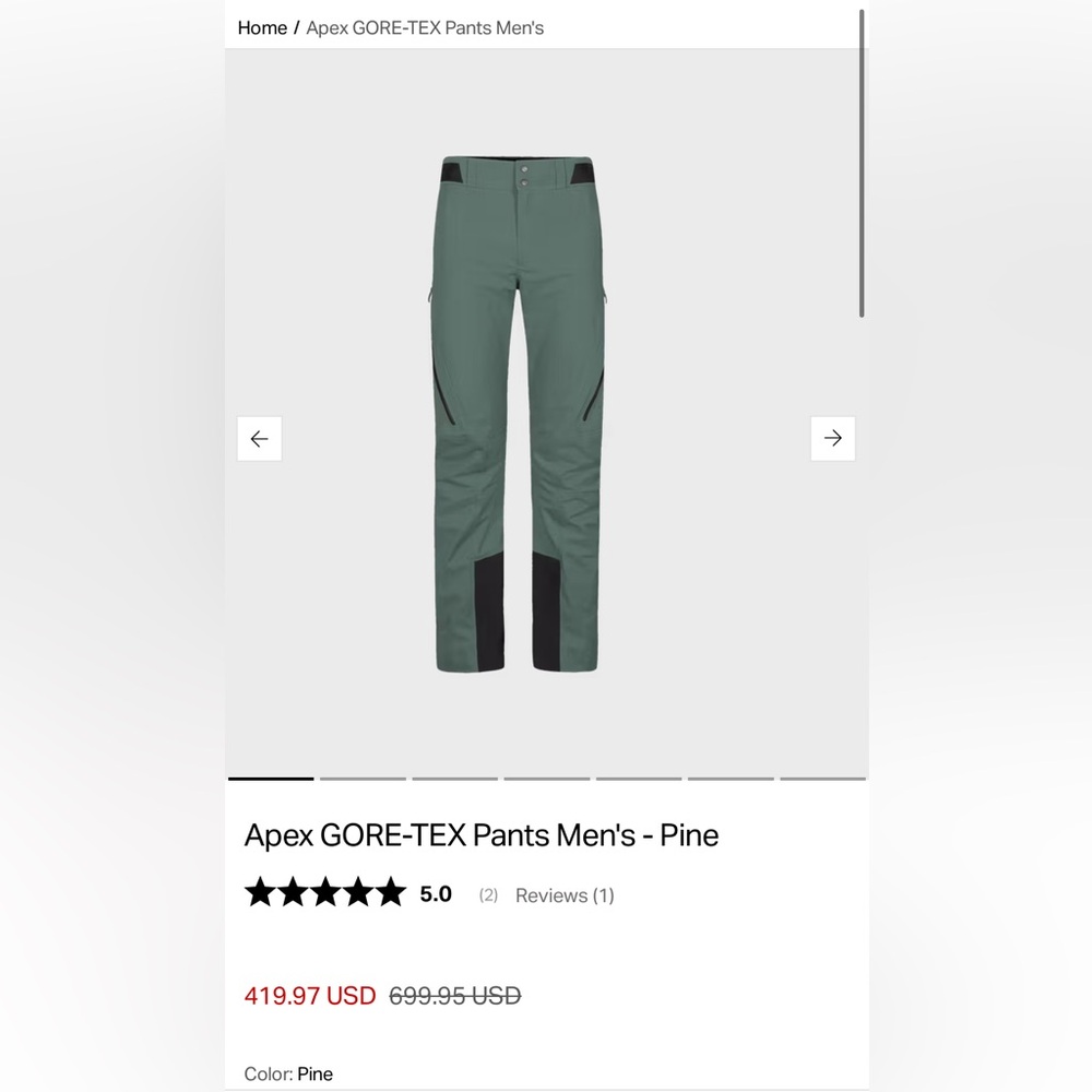Apex GORE-TEX Men's Pants in Pine with Black Panels (size large)